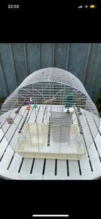 Te koop vogel kooi € 10,00
