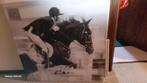 Schilderij ruiter met paard, Ophalen
