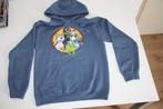 The palls blauwe hoody 13-14 jaar, Ophalen of Verzenden, Gebruikt, Jongen, Trui of Vest