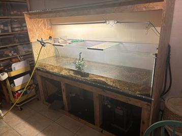 Aquarium 200x50x50 (1000 liter) beschikbaar voor biedingen
