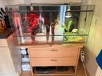 Terrarium te koop met 2 baardaghaams, kast en broedmachine, Dieren en Toebehoren, Ophalen, Zo goed als nieuw, Terrarium of Paludarium
