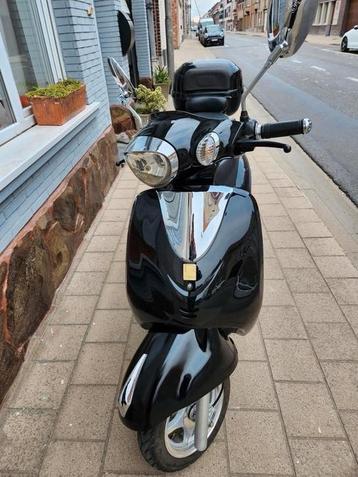 Elektrische scooters novox.klasse a.  beschikbaar voor biedingen