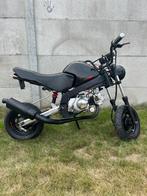 Skyteam PBR 50cc B-Klasse Met Alle Papieren, Fietsen en Brommers, Brommers | Honda, Ophalen, Gebruikt, Klasse B (45 km/u), Overige modellen