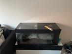 Aquarium met toebehoren. 100 L x 43 H x 40 D, Gebruikt, Ophalen, Leeg aquarium