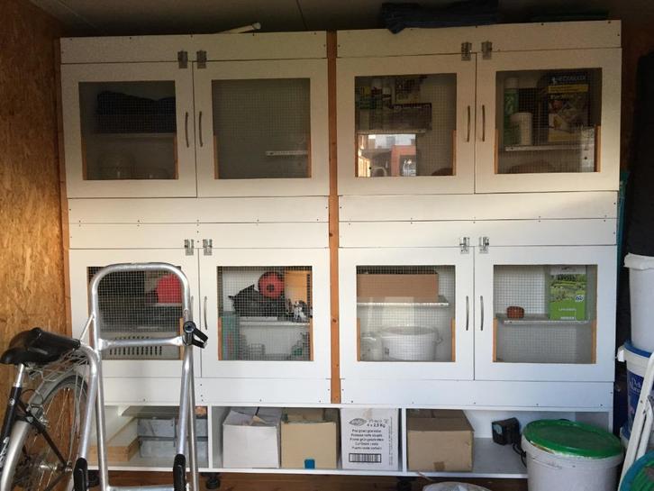 chinchillakooien, Dieren en Toebehoren, Overige Dieren-accessoires, Zo goed als nieuw, Ophalen