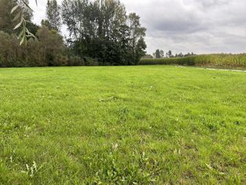 Boerderij te koop in Knesselare beschikbaar voor biedingen