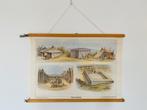 Vintage wandkaart schoolkaart, Ophalen of Verzenden, Gebruikt