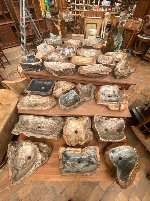 partij fossiele wasbakken versteend hout, Verzamelen, Mineralen en Fossielen, Ophalen