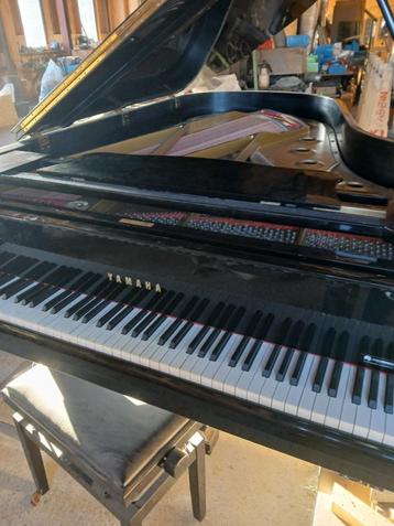 piano a queue, Brillant, Comme neuf, Enlèvement, Piano