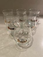 Bierglazen Duvel, Collections, Enlèvement, Utilisé, Verre à bière