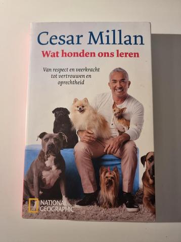 Cesar Millan - Wat honden ons leren disponible aux enchères