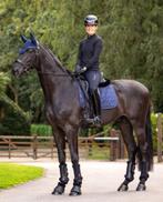 LeMieux Dressuur dekje Suede Crystal Navy SALE -40%!, Ophalen of Verzenden, Nieuw, Dekje