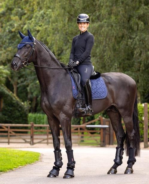 LeMieux Dressuur dekje Suede Crystal Navy SALE -40%!, Dieren en Toebehoren, Paarden en Pony's | Dekens en Dekjes, Nieuw, Dekje