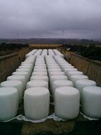 Maïs ensilage et épis broyé, Zakelijke goederen, Ophalen of Verzenden