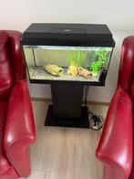 Juwel Aquarium met meubel, Ophalen, Zo goed als nieuw