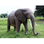African Elephant – Afrikaanse Olifant beeld Lengte 374 cm, Nieuw, Ophalen of Verzenden