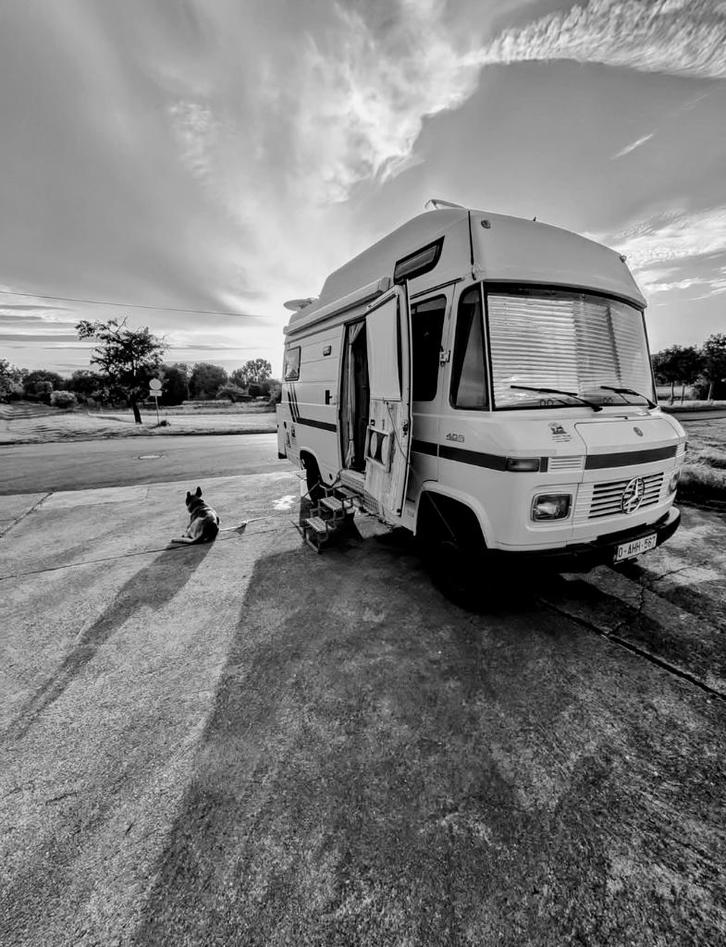 Mercedes L409 Düdo, Caravans en Kamperen, Mobilhomes, Particulier, tot en met 3, Integraal, Westfalia, Mercedes, LPG, 4 tot 5 meter