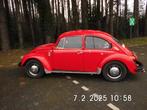 vw kever mexican, Auto's, Volkswagen, 4 zetels, Achterwielaandrijving, Beetle (Kever), 4 cilinders