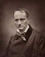 Charles Baudelaire Les Fleurs du Mal et profil d’une oeuvre, Livres, Poèmes & Poésie, Utilisé