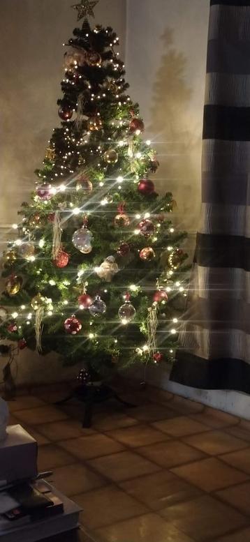 sapin, Divers, Noël, Enlèvement, Utilisé
