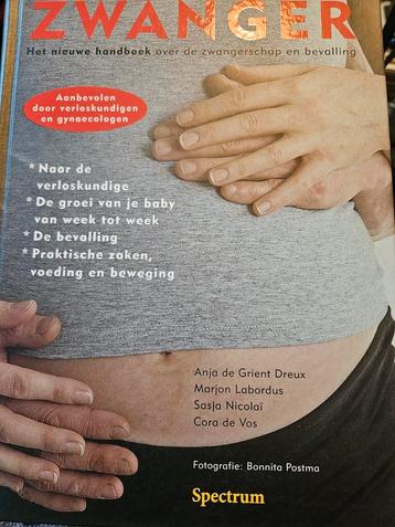 A. de Grient Dreux - Zwanger beschikbaar voor biedingen