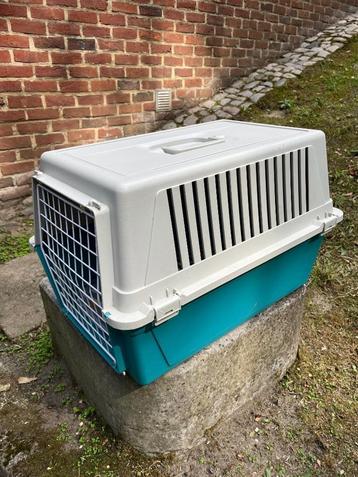 Transportkooi kat/hond beschikbaar voor biedingen