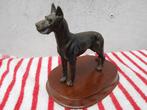 beeld-hond  DOG   vintage, Antiek en Kunst, Kunst | Beelden en Houtsnijwerken, Ophalen of Verzenden