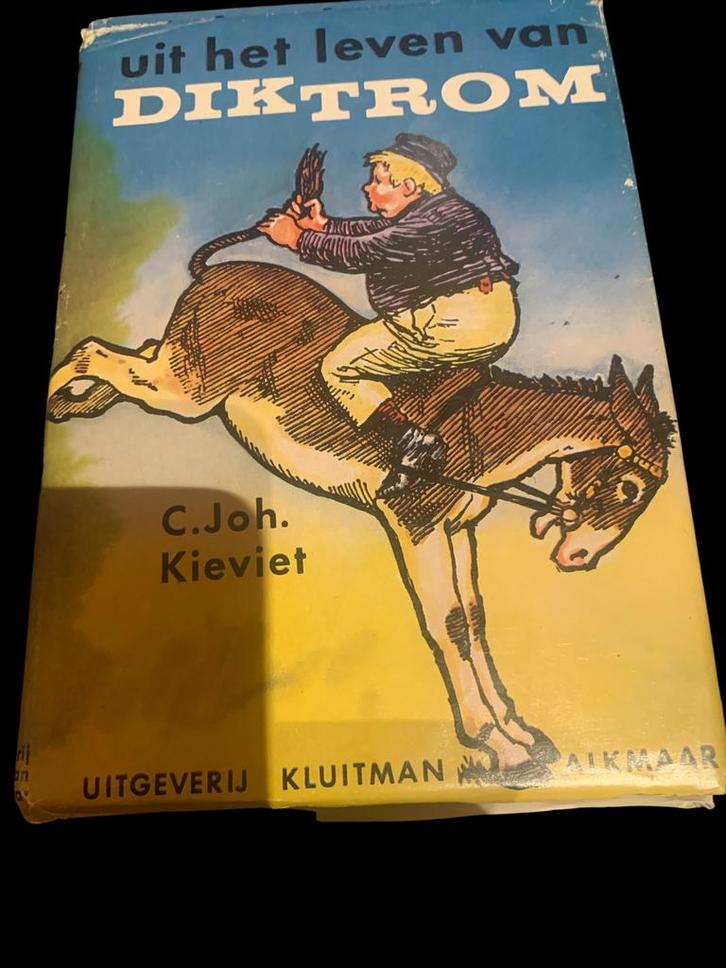 Dik trom, Boeken, Avontuur en Actie, Gelezen, Ophalen of Verzenden