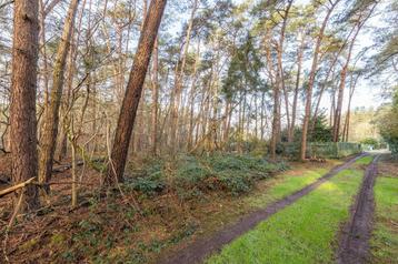 Grond te koop in Vorselaar, Immo, 1500 m² of meer