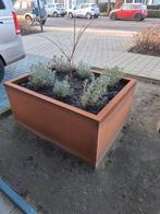 Mooie cortenstaal bloem- of plantenbakken.  Op maat gemaakt!, Ophalen of Verzenden, Nieuw, Binnen