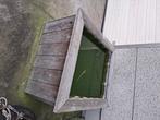 Planten bak, vis bak, Tuin en Terras, Planten | Tuinplanten, Ophalen, Vijverplanten