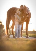 Grote d kleine e pony gezocht, Dieren en Toebehoren, Pony's, Ruin, M