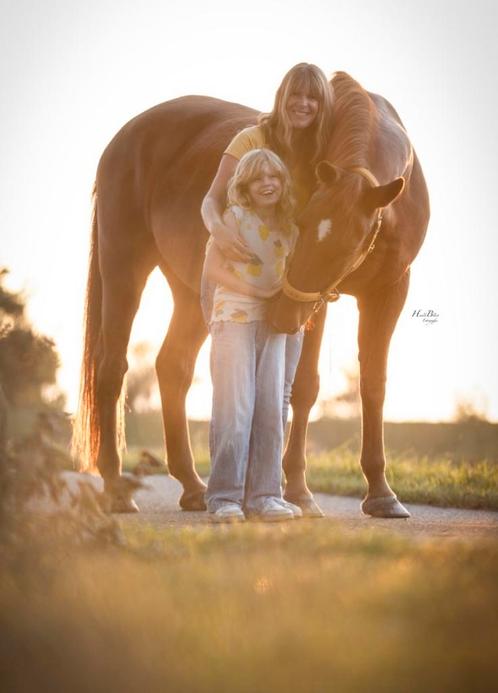 Grote d kleine e pony gezocht, Dieren en Toebehoren, Pony's, Ruin, M