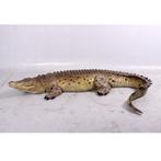Crocodile mouth closed 12 ft – Krokodil beeld Lengte 343 cm, Verzamelen, Ophalen, Nieuw