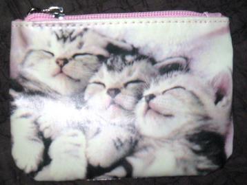 3 knuffelige kittens
