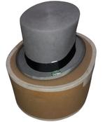 Wegener hoge hoed., Vêtements | Hommes, Chapeaux & Casquettes, Enlèvement ou Envoi, B, Chapeau, Porté