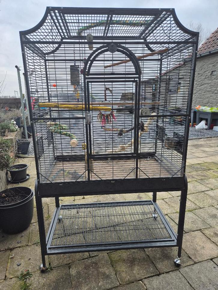 Cage volière perruches, Animaux & Accessoires, Oiseaux | Cages & Volières, Utilisé, Volière, Enlèvement