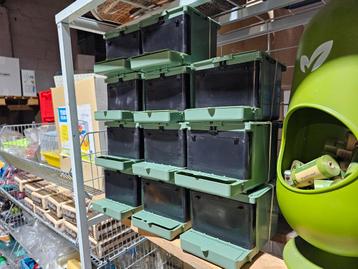 Nest Isabella Exoten Moldes Ave  beschikbaar voor biedingen