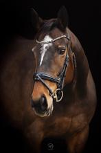 Lieve 9 jarige recreatie merrie, Dieren en Toebehoren, Paarden, Merrie, B, Gechipt, 7 tot 10 jaar
