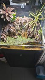 Aquarium paludarium, Dieren en Toebehoren, Ophalen