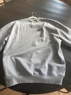 Trui carhartt XL lichtblauw/grijs, Ophalen of Verzenden, Zo goed als nieuw, Grijs