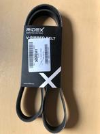 Ridex Multiriem, Auto-onderdelen, Motor en Toebehoren, Ophalen of Verzenden, Nieuw, Hyundai