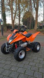 Quad Dinli 300