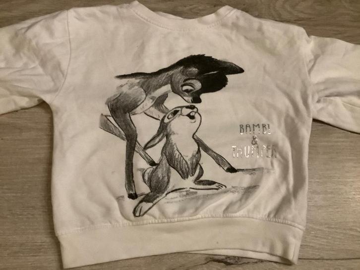 Disney Bambi sweater (110-116), Kinderen en Baby's, Kinderkleding | Maat 110, Zo goed als nieuw, Meisje, Shirt of Longsleeve, Ophalen of Verzenden