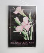 Paradise Creations special graphics gallery edition Vintage, Ophalen, Gebruikt