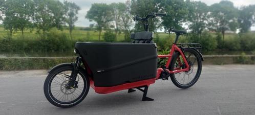 20 % de réduction sur le PACKSTER 70 vario 625 Wh prêt à uti, Vélos & Vélomoteurs, Vélos | Vélos avec bac, Comme neuf, Autres marques