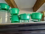 buxusmot, Tuin en Terras, Ophalen