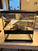 Exo terra 30x30, Dieren en Toebehoren, Ophalen, Zo goed als nieuw