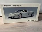 Porsche Carrera GT silver kartonnen doos, Hobby en Vrije tijd, Modelauto's | 1:18, Ophalen of Verzenden, Zo goed als nieuw, Auto