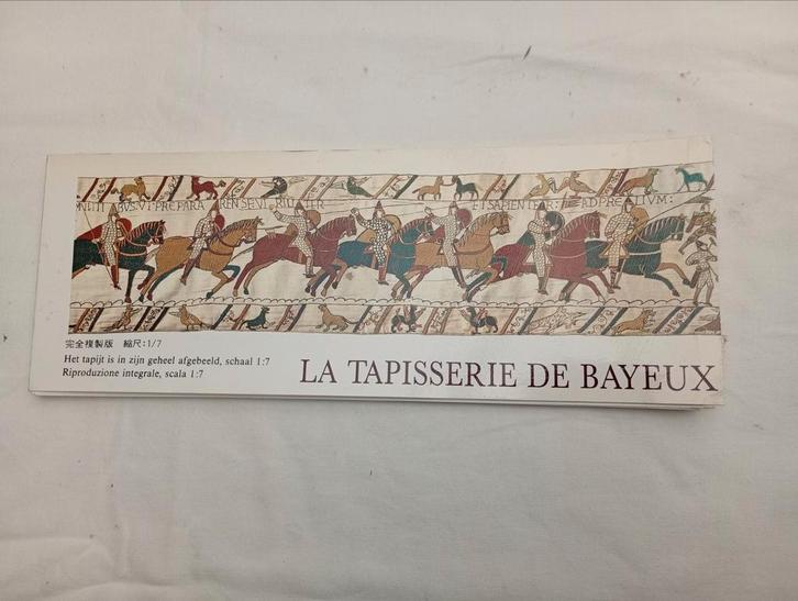 La Tapisserie de Bayeux, Boeken, Geschiedenis | Wereld, Zo goed als nieuw, Europa, 14e eeuw of eerder, Ophalen of Verzenden